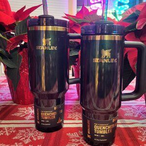 Stanley x Wicked Tumbler Lot of 2 - Elphaba 40 oz & 30 oz, Target Exclusive